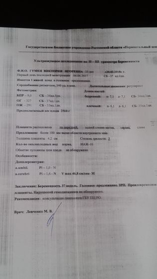 Узи 37 недель