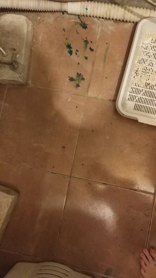 Нормально я коту ранку
