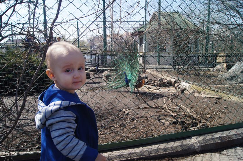 А мы сходили в зоопарк!