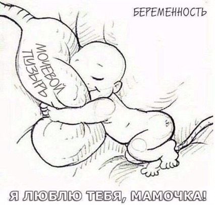 Правда жизни))