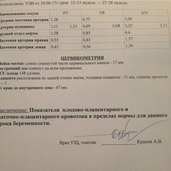 Результаты доплера 28 недель