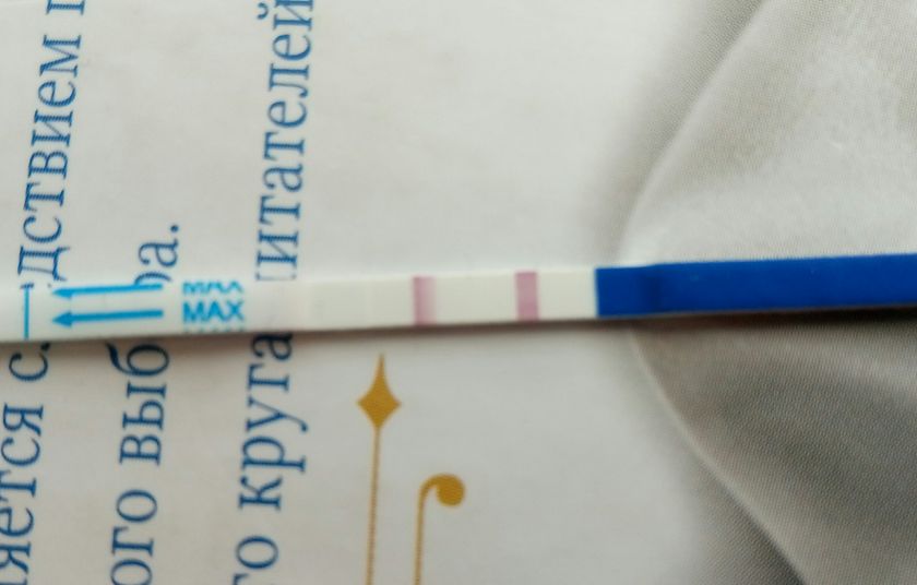 ? 19дпо