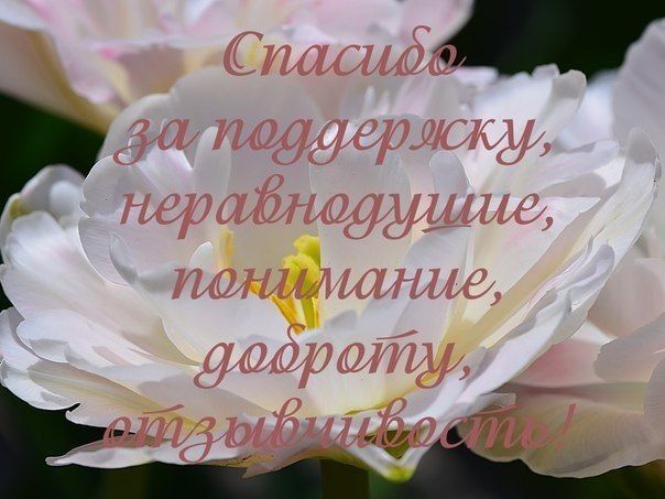 К предыдущему посту.