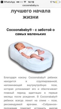 Кокон