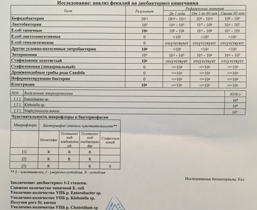 Золотистый стафилококк и прочие бактерии