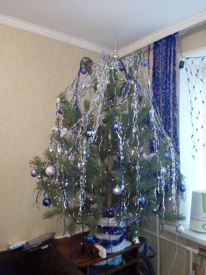 Самая красивая елочка! Голосование. Живые