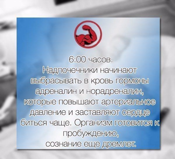 Именно поэтому я за режим.