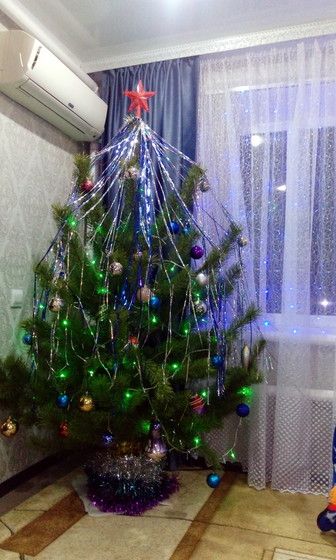 Самая красивая елочка! Голосование. Живые