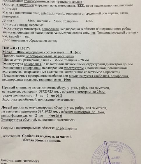 ждать бейбика или нет? ?