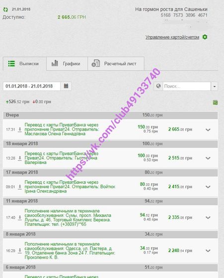 Отчёт по сбору на Сашу Смитюх 9.11.2017-20.01.2018