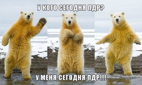 Пдр