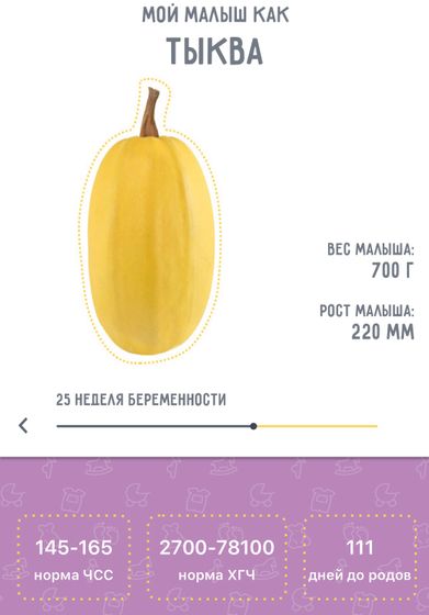 Идёт 25 неделя!