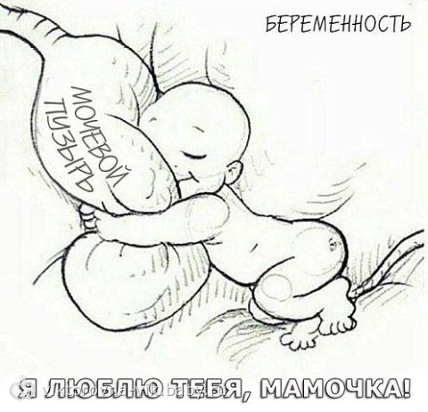 Долго смеялась