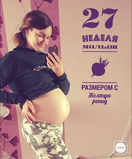 27 недель