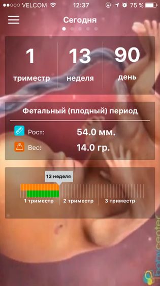 Первый триместр.