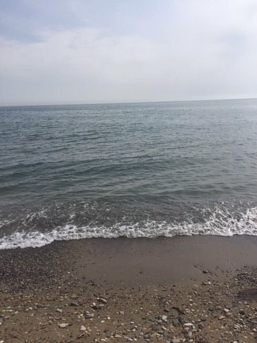 Море ?