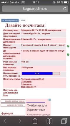 81%