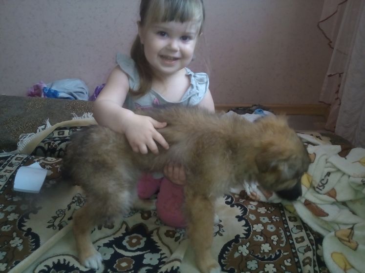 Все чаще стала слышать,
