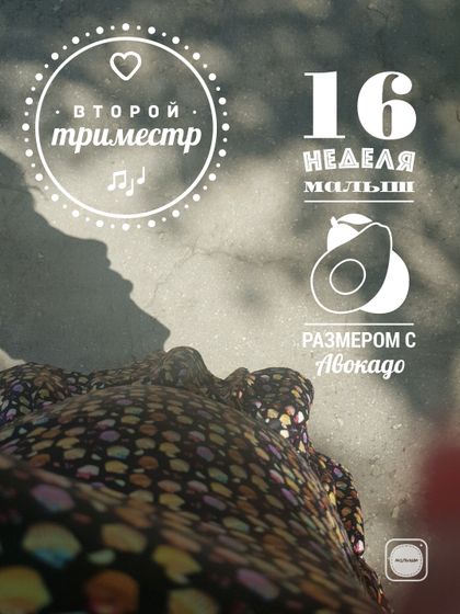 А мы ростем