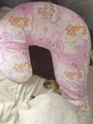 Отеки ?