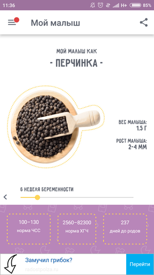 1 марта- 6 недель,237 дней до родов!!!