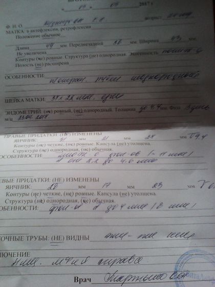 помоги расшифровать УЗИ