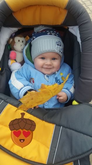 8 месяцев