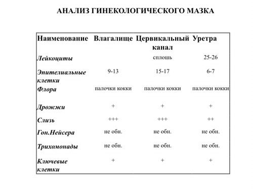 Анализ мазка