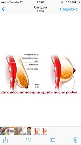 Грудь после гв