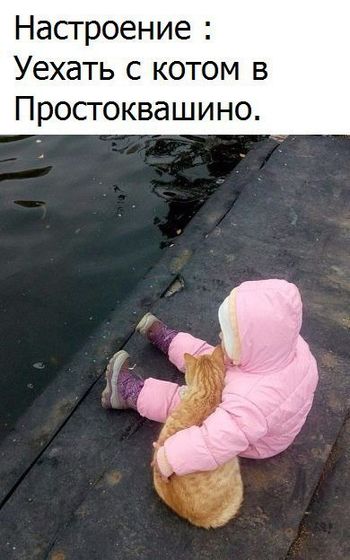 Немного позитива))