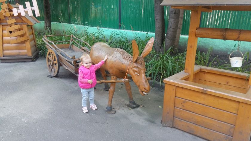 1 день в гкп