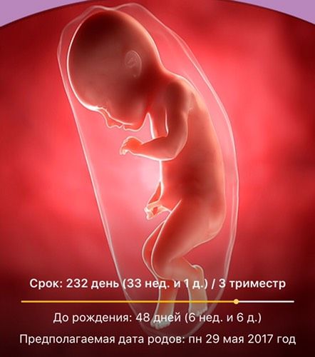 33 недельки?