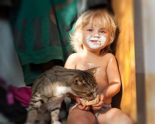 Человеку нужен кот.