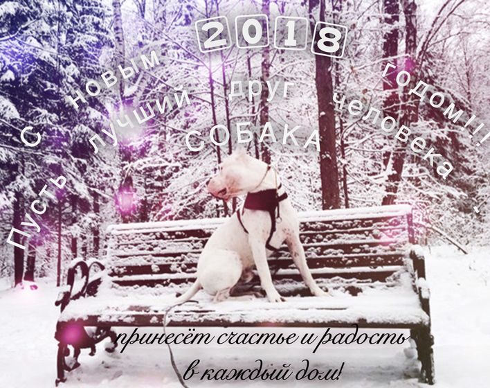 С Новым годом, девочки!!!