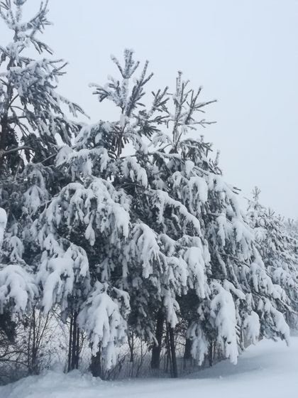 Зима обрушилась в полной мере)