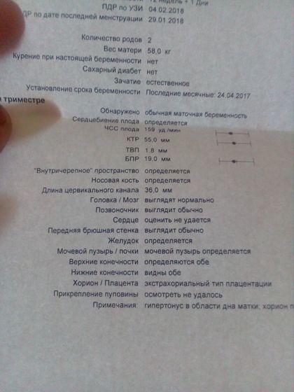 Девочки как у нас УЗИ