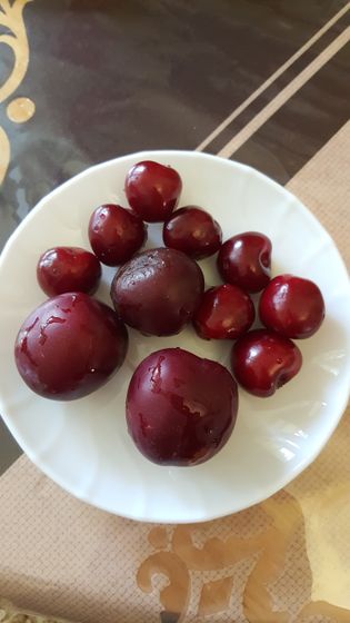 Пп отчет за сегодня!