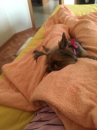 33 недельки 🌺