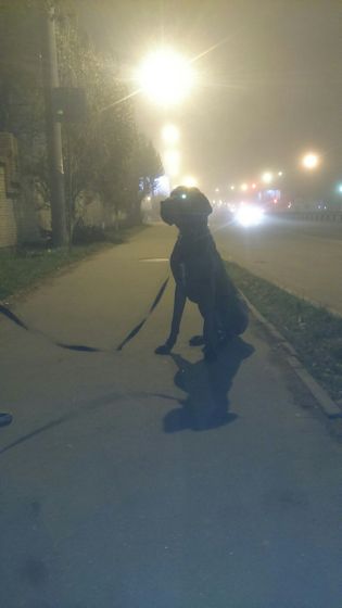Просто пост любви