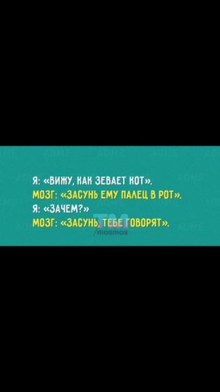 Из вк. Не смогла пройти мимо)