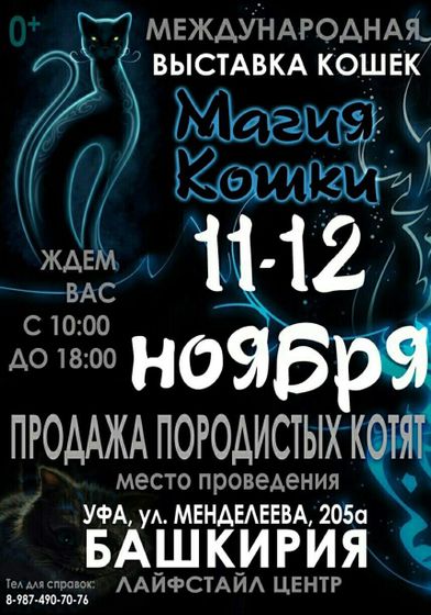 Выставки в г.Уфа