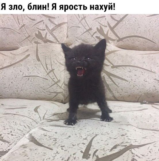 Просто так?улыбнутся