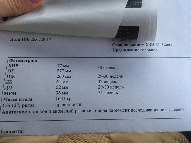 УЗИ ( фото прилагаю)