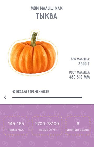 Пошла 40 неделя