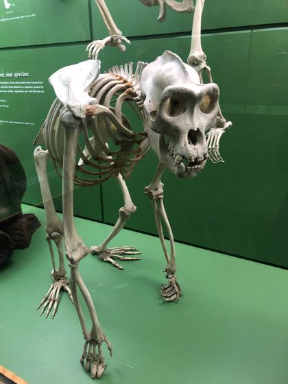 Встретились с сыном