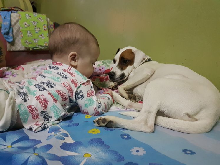Покушение))