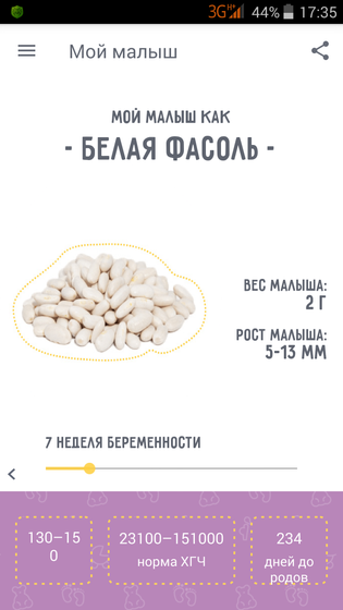 Была сегодня на УЗИ,