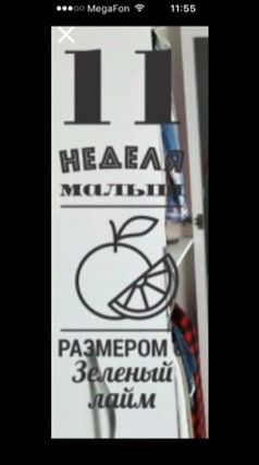 Что за приложение?