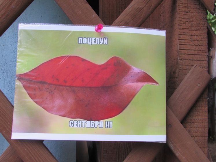 Эко-фестиваль в детском саду.
