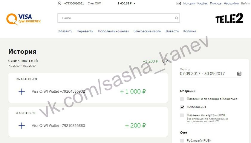 Отчет о поступлениях для Саши Канева Сентябрь